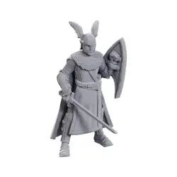 D&D Nolzur's Marvelous Miniatures pack 2 miniatures à peindre 50th Anniversary Elves | 0634482907344