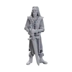 D&D Nolzur's Marvelous Miniatures pack 2 miniatures à peindre 50th Anniversary Skeleton Knights | 0634482907368