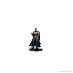 D&D Icons of the Realms : Curse of Strahd miniatures Legends of Barovia Premium Box Set | 0634482960264