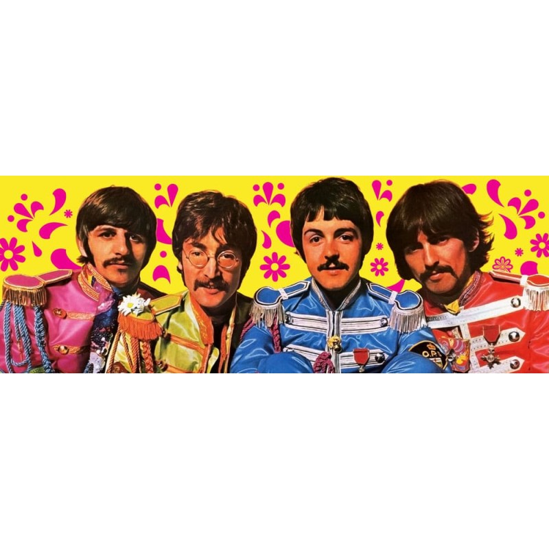 The Beatles jeu de cartes à jouer Green Version