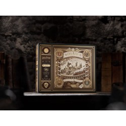 Harry Potter Puzzle multidimensionnel (1000 pièces)