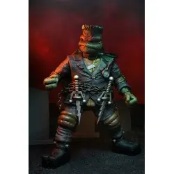 Universal Monsters x TMNT figurine Ultimate Raphael as Frankenstein's Monster 18 cm | 0634482541883