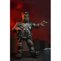 Universal Monsters x TMNT figurine Ultimate Raphael as Frankenstein's Monster 18 cm | 0634482541883